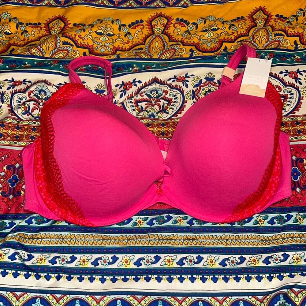 NWT Cacique Bra